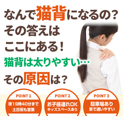 猫背